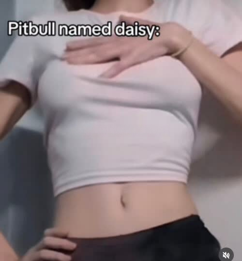 Melisa - zdjęcie 7